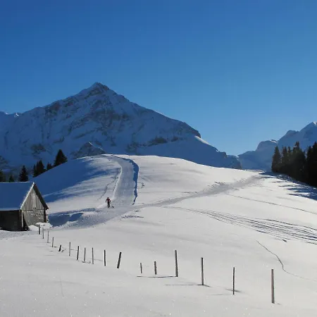 Apartment Gstaad - Luxueux Design ***** *
