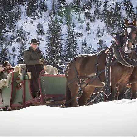 Gstaad - Luxueux Design ***** شقة Gsteig